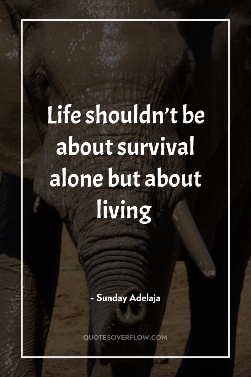 Life shouldn’t be about survival alone but about living 