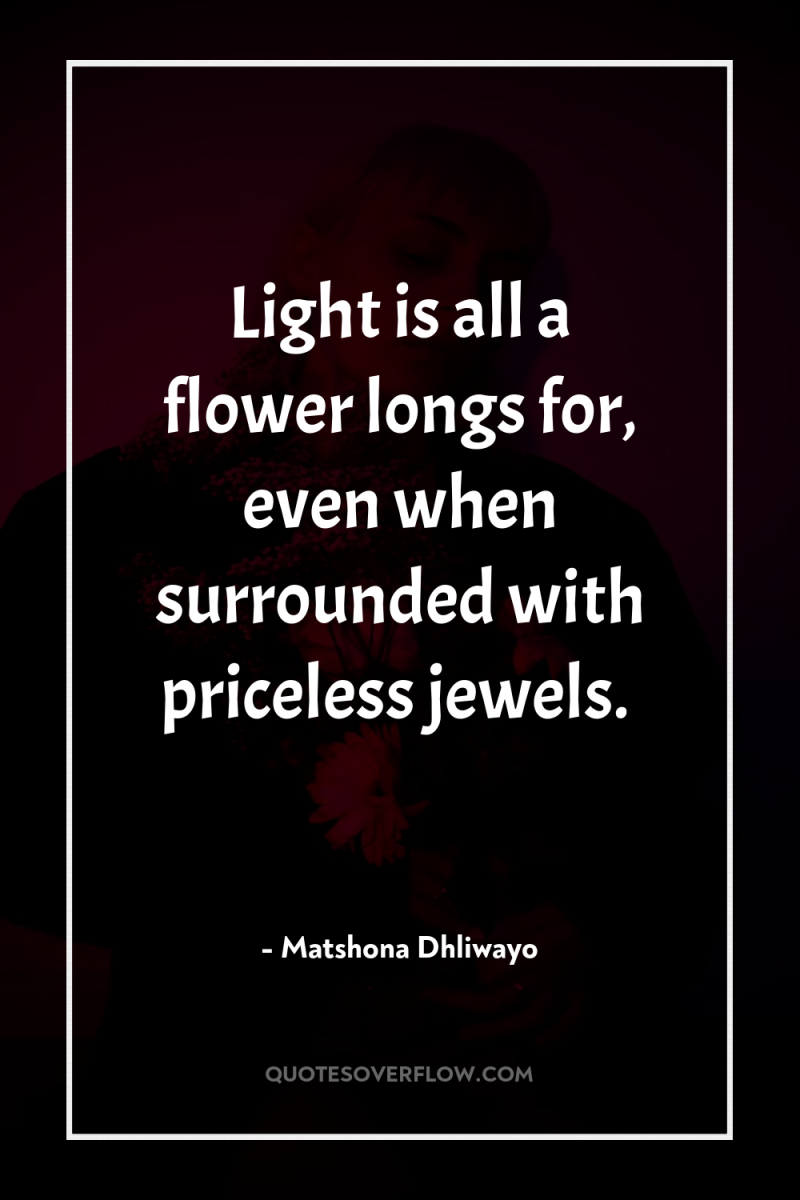 Light is all a flower longs for, even when surrounded...
