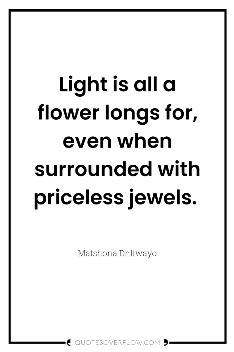 Light is all a flower longs for, even when surrounded...