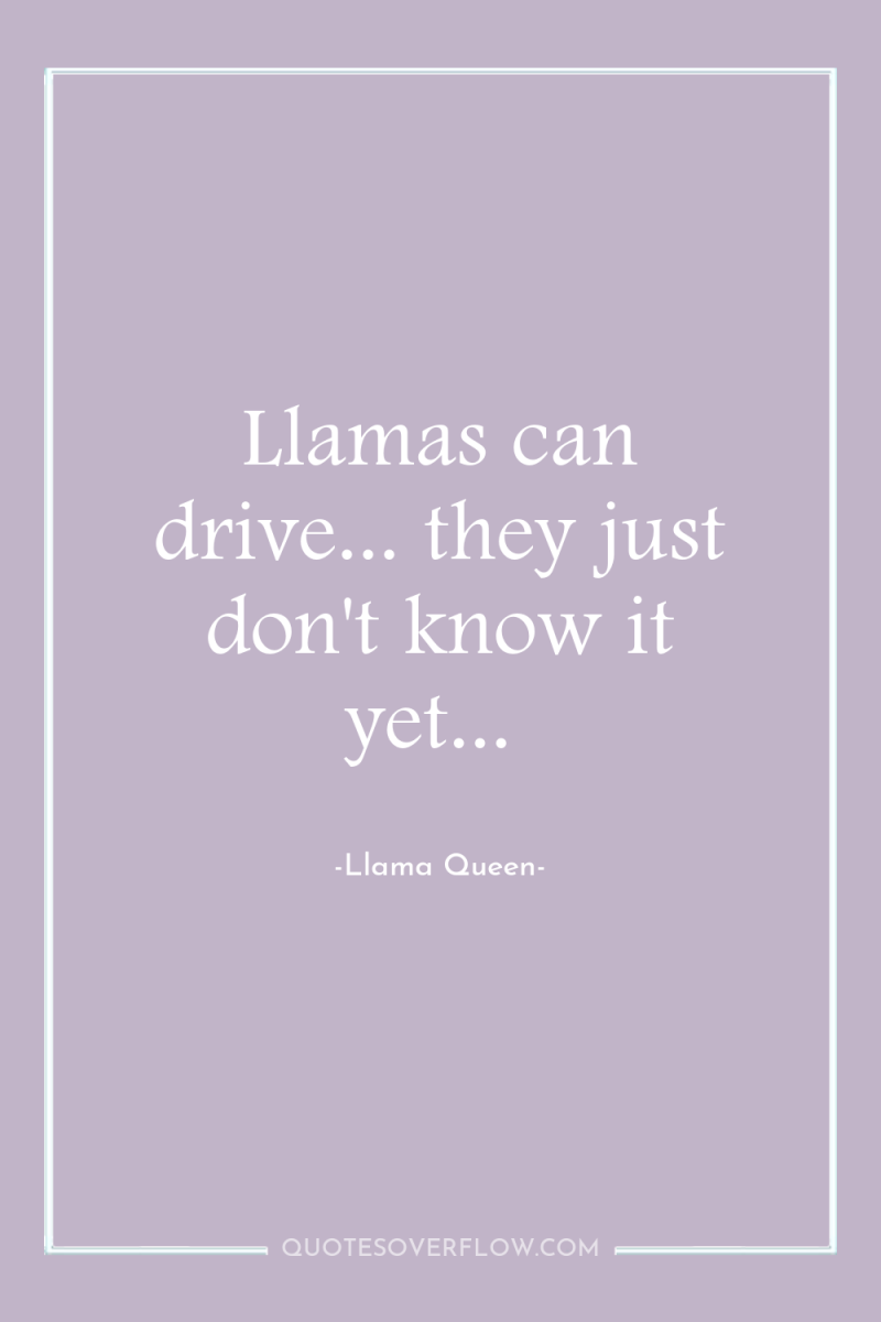 Llamas can drive... they just don't know it yet... 