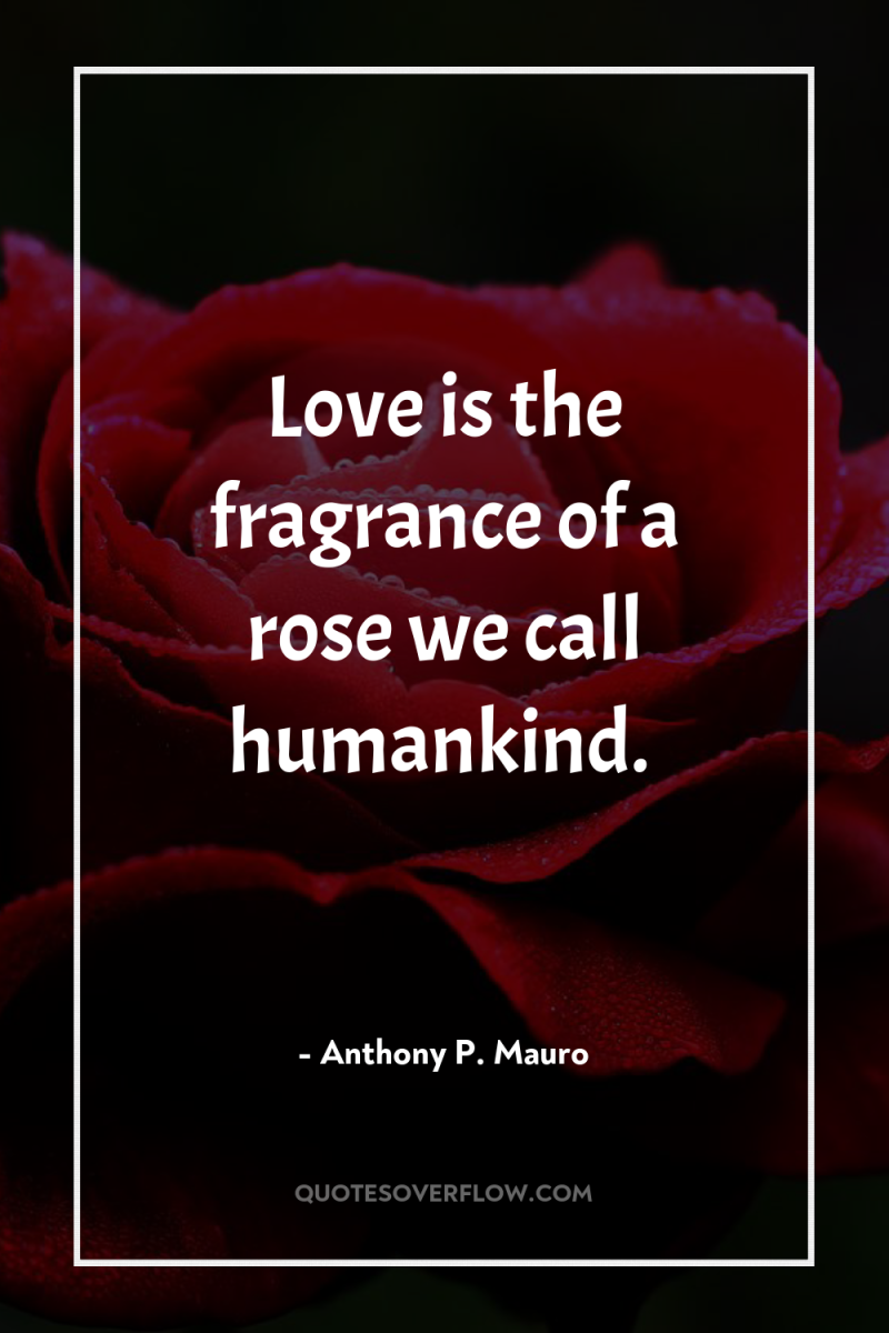 Love is the fragrance of a rose we call humankind. 