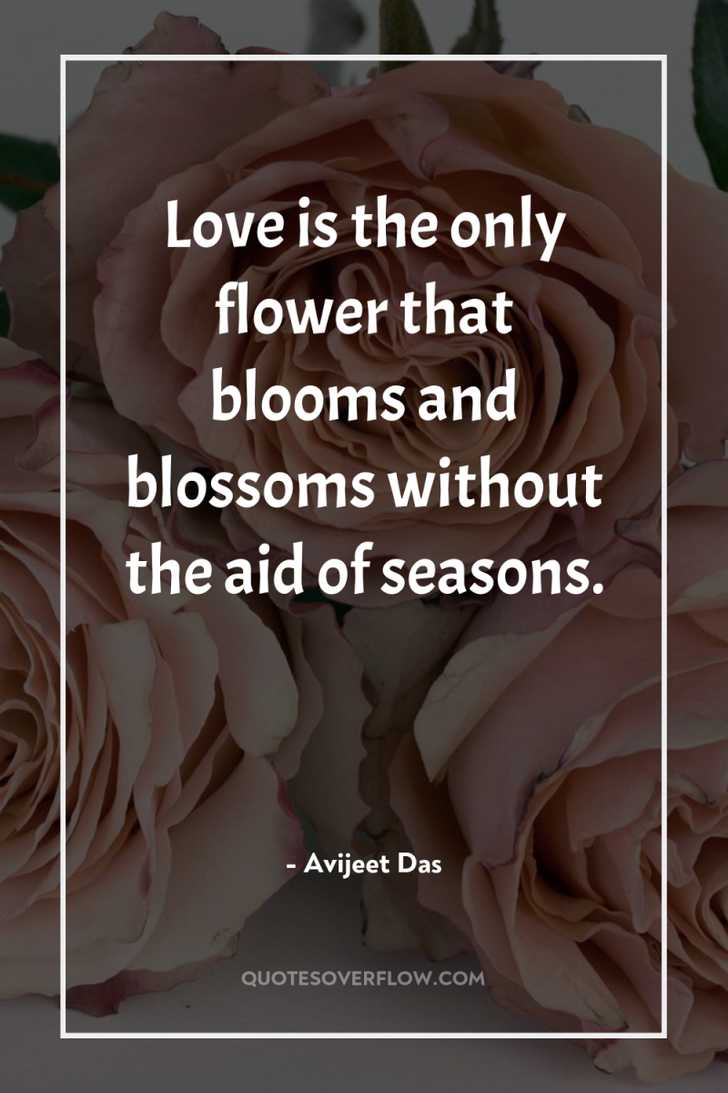 Love is the only flower that blooms and blossoms without...