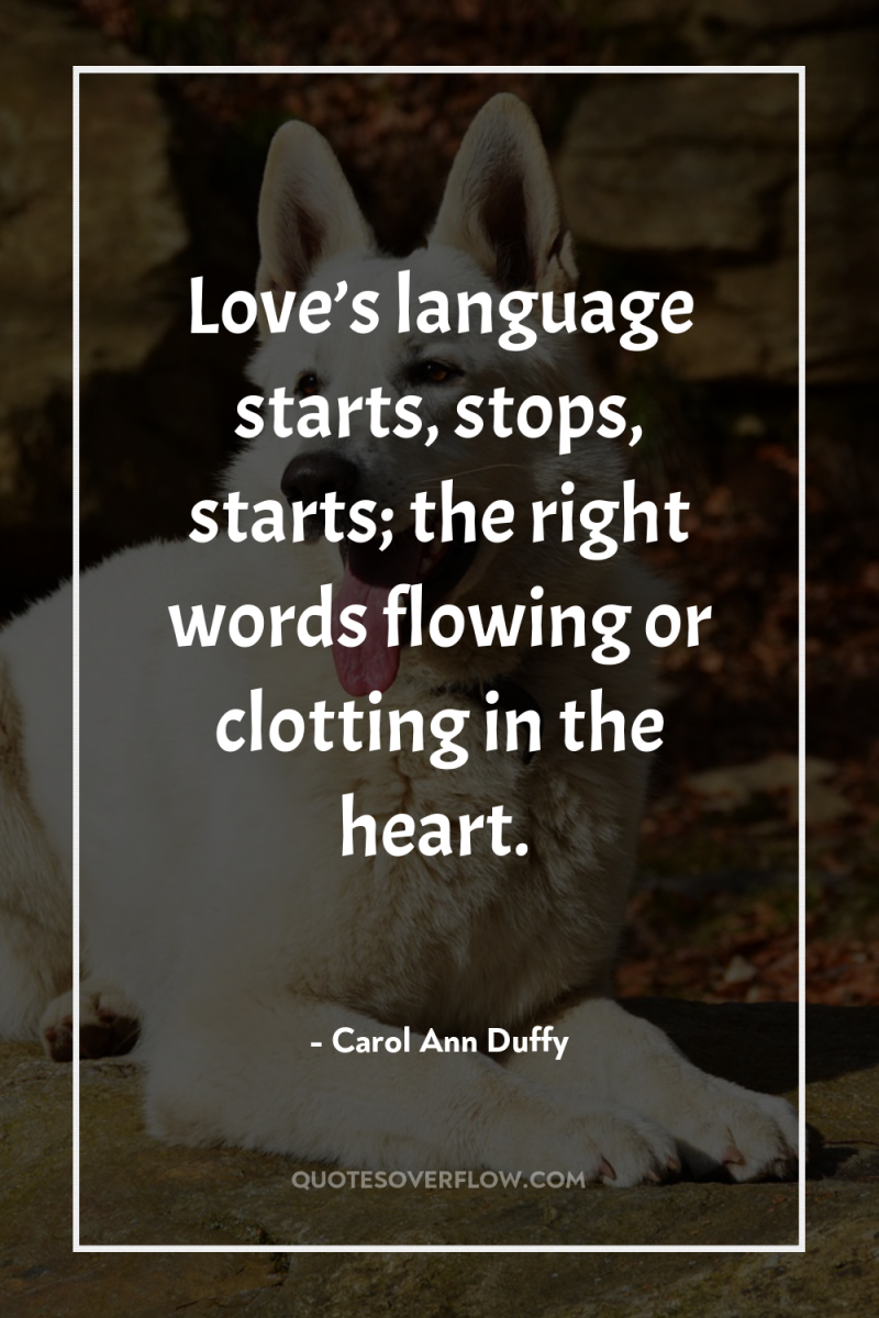 Love’s language starts, stops, starts; the right words flowing or...