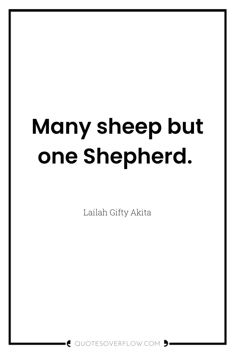 Many sheep but one Shepherd. 