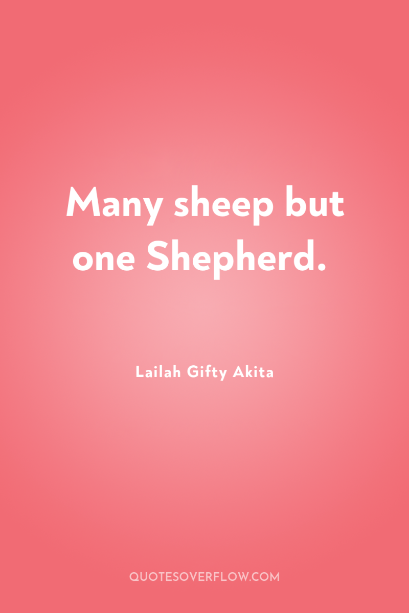 Many sheep but one Shepherd. 