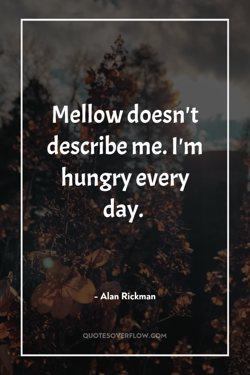 Mellow doesn't describe me. I'm hungry every day. 