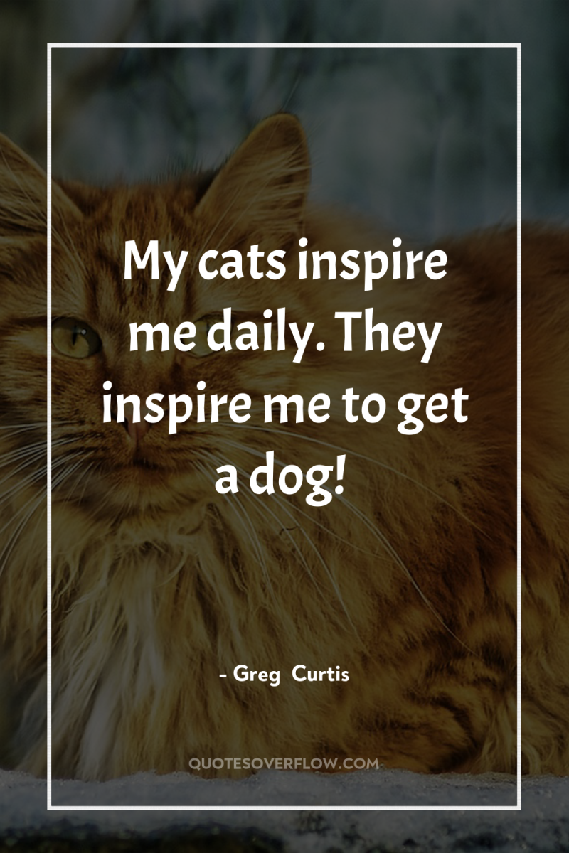 My cats inspire me daily. They inspire me to get...