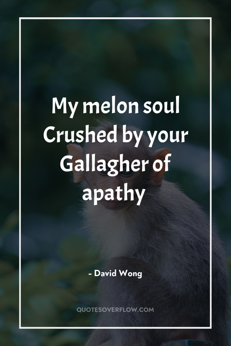 My melon soul Crushed by your Gallagher of apathy 