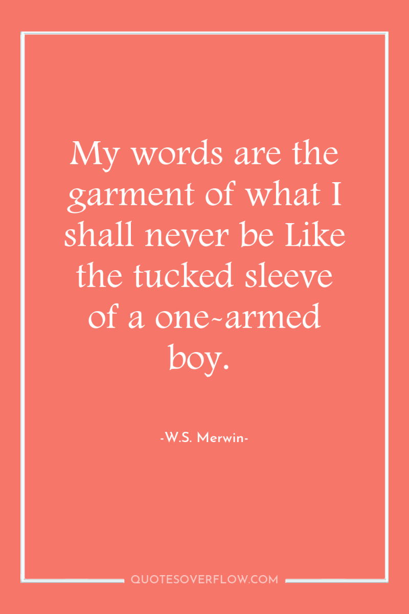 My words are the garment of what I shall never...