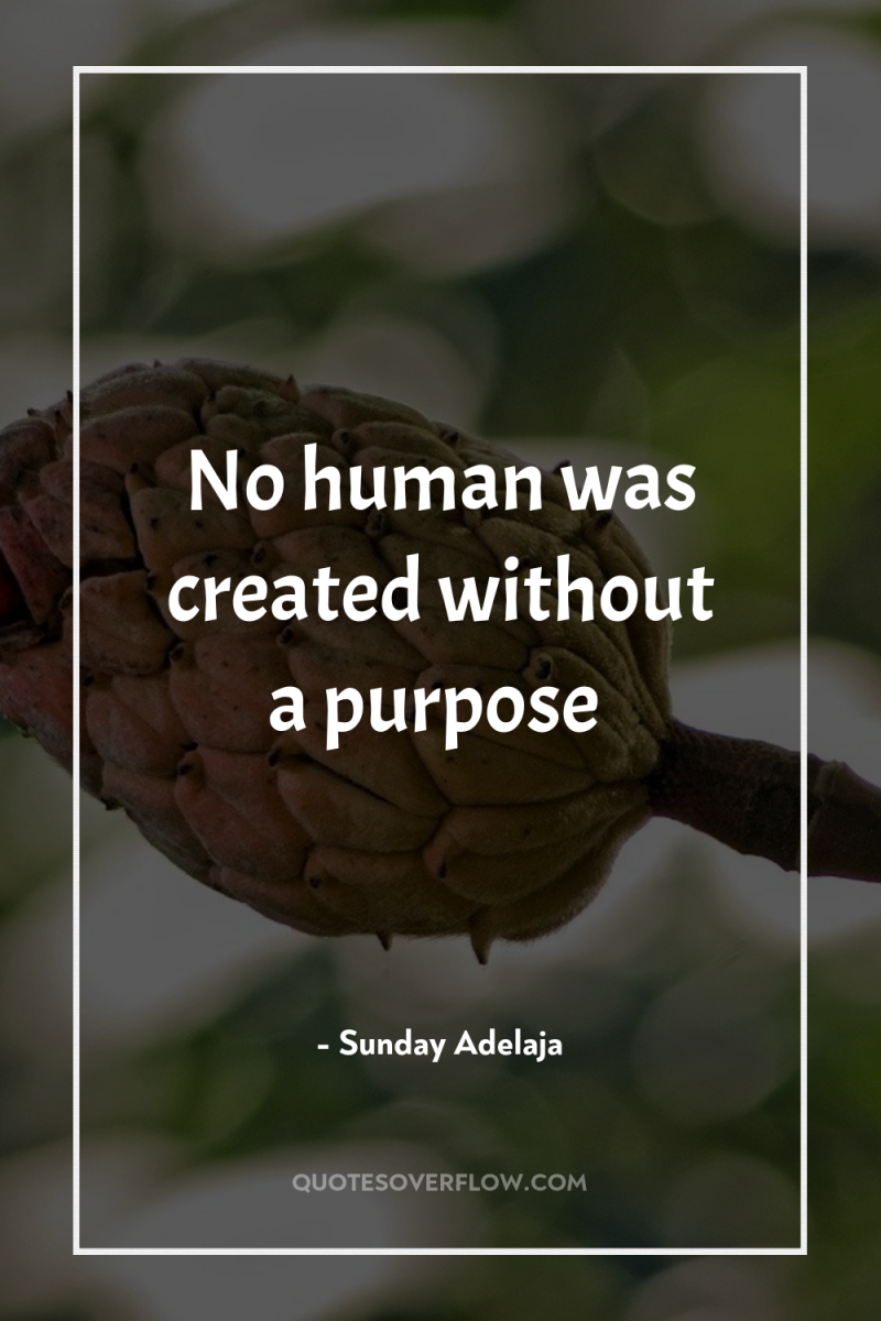 No human was created without a purpose 