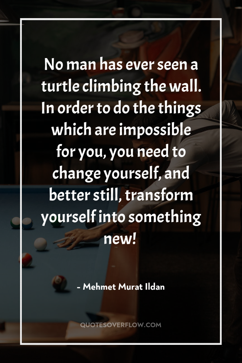 No man has ever seen a turtle climbing the wall....