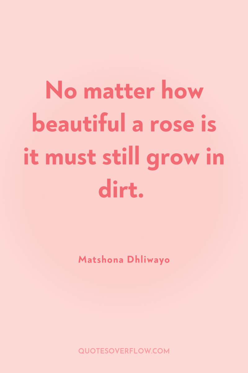 No matter how beautiful a rose is it must still...