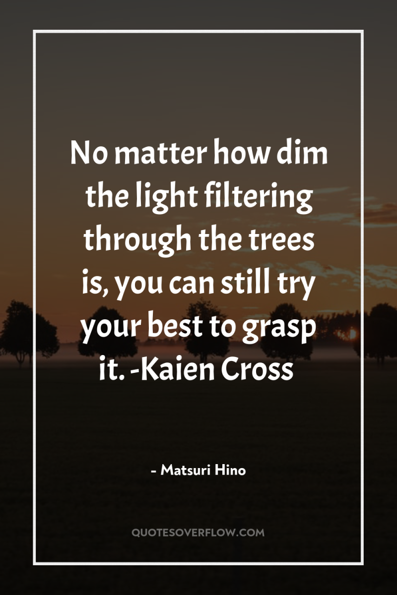 No matter how dim the light filtering through the trees...
