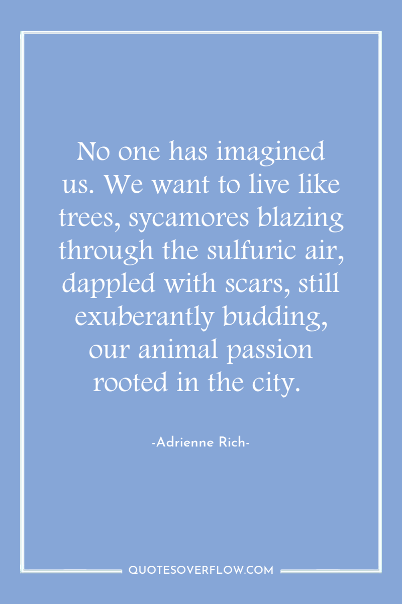 No one has imagined us. We want to live like...