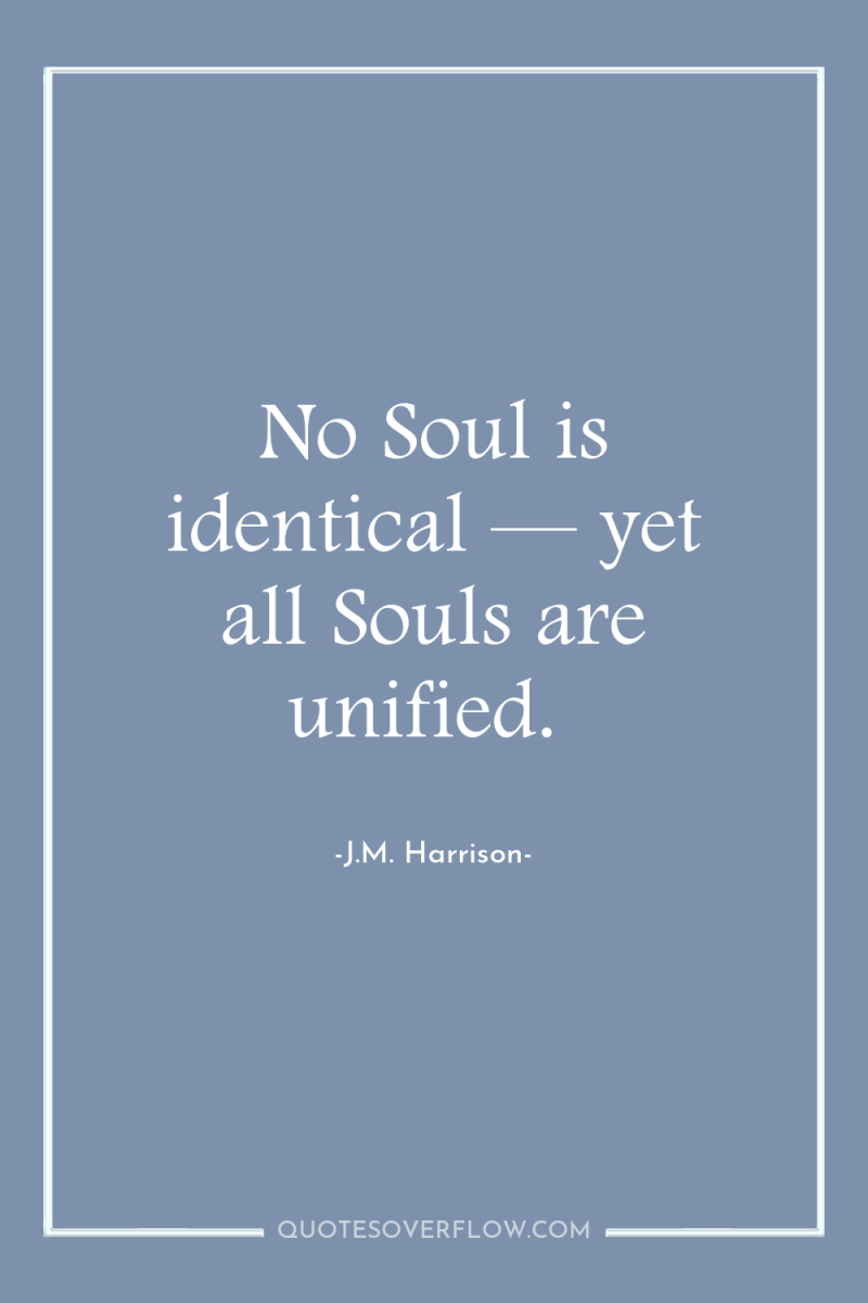 No Soul is identical — yet all Souls are unified. 