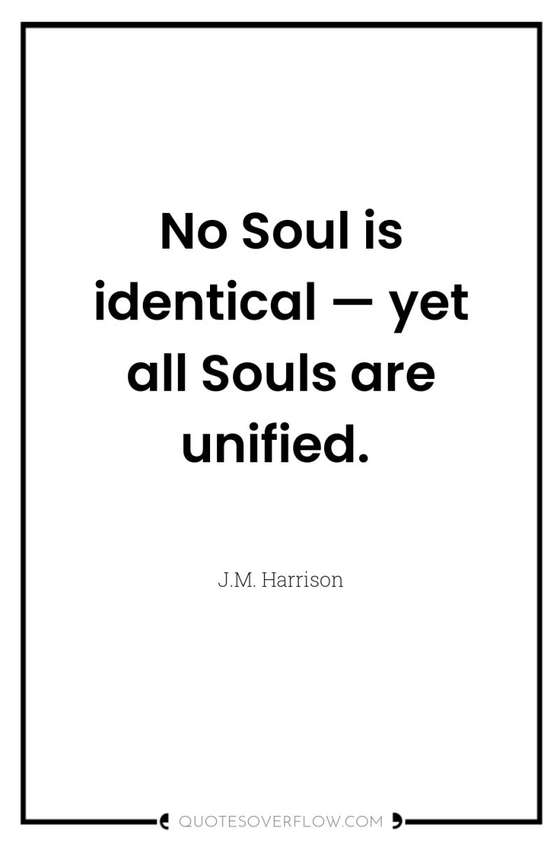 No Soul is identical — yet all Souls are unified. 