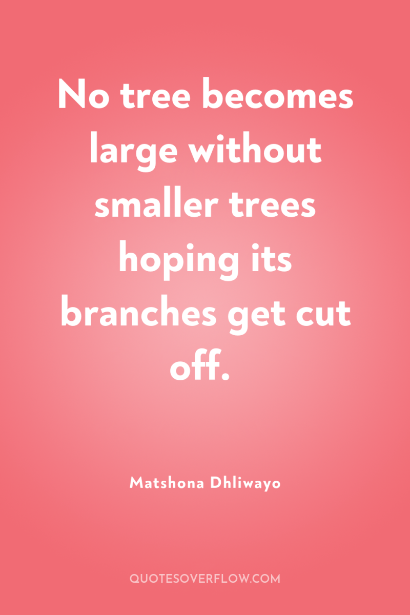 No tree becomes large without smaller trees hoping its branches...