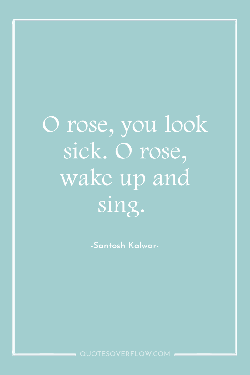 O rose, you look sick. O rose, wake up and...