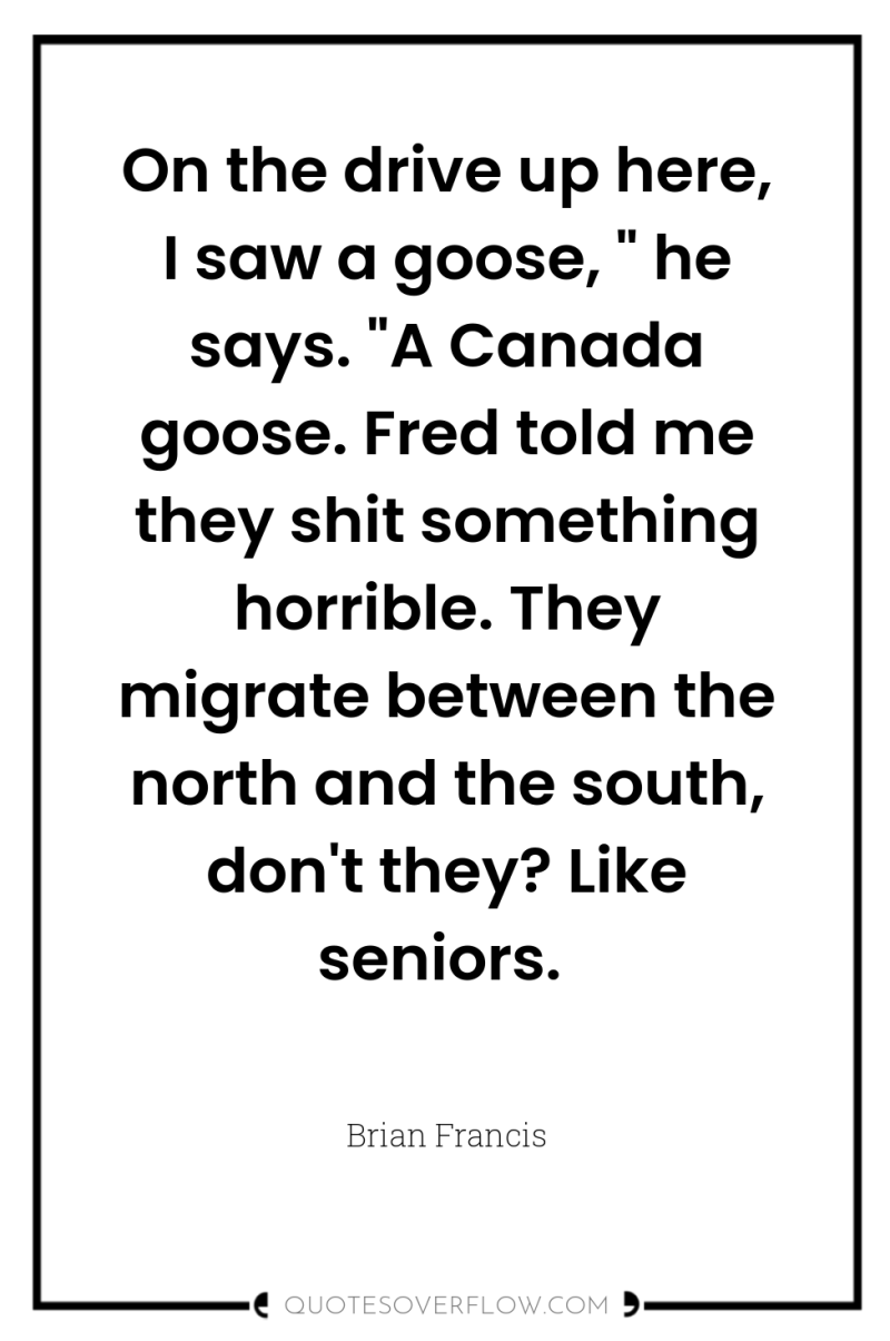 On the drive up here, I saw a goose, 