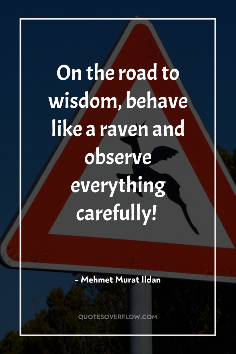 On the road to wisdom, behave like a raven and...