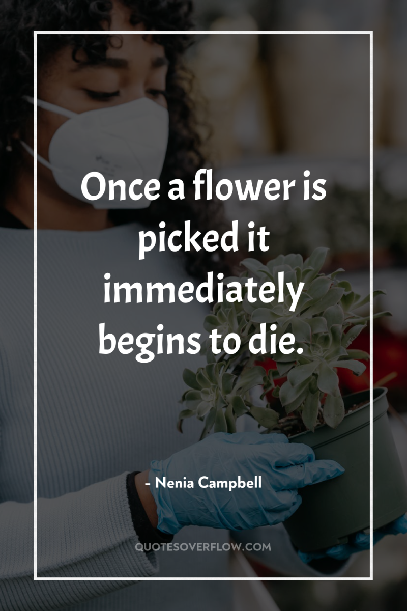 Once a flower is picked it immediately begins to die. 
