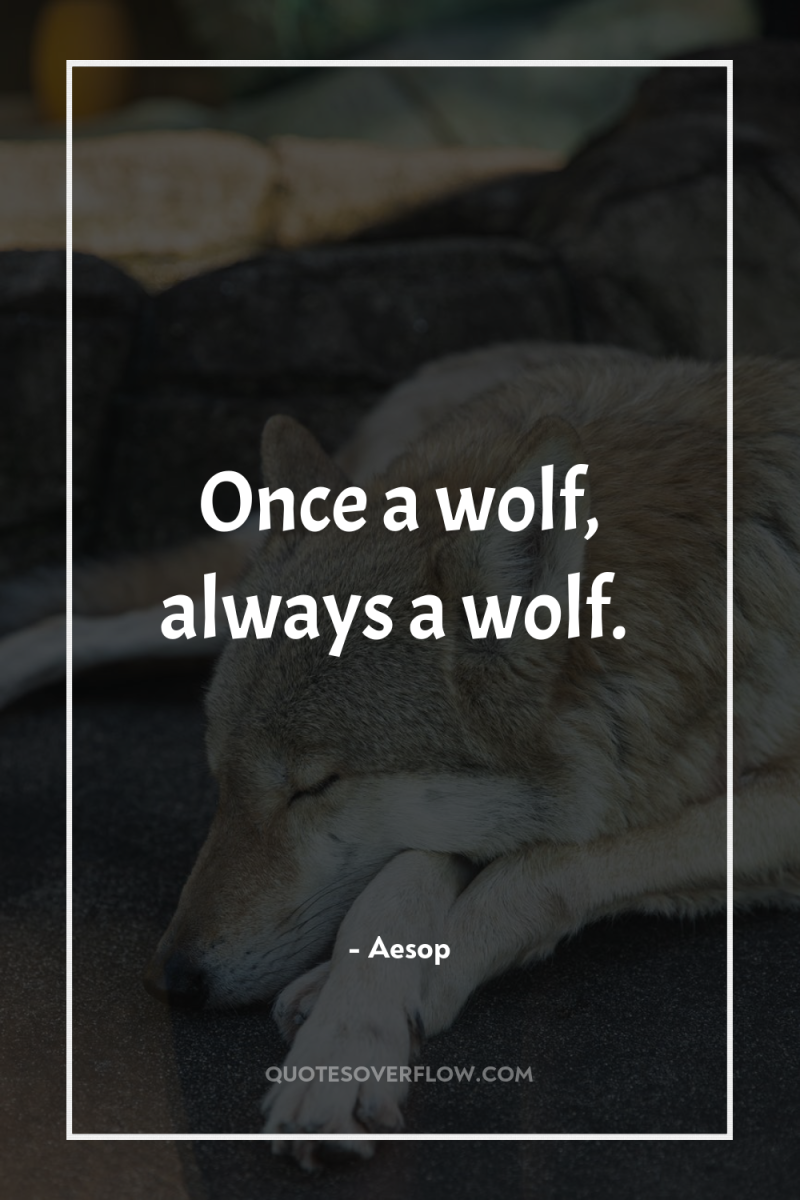 Once a wolf, always a wolf. 