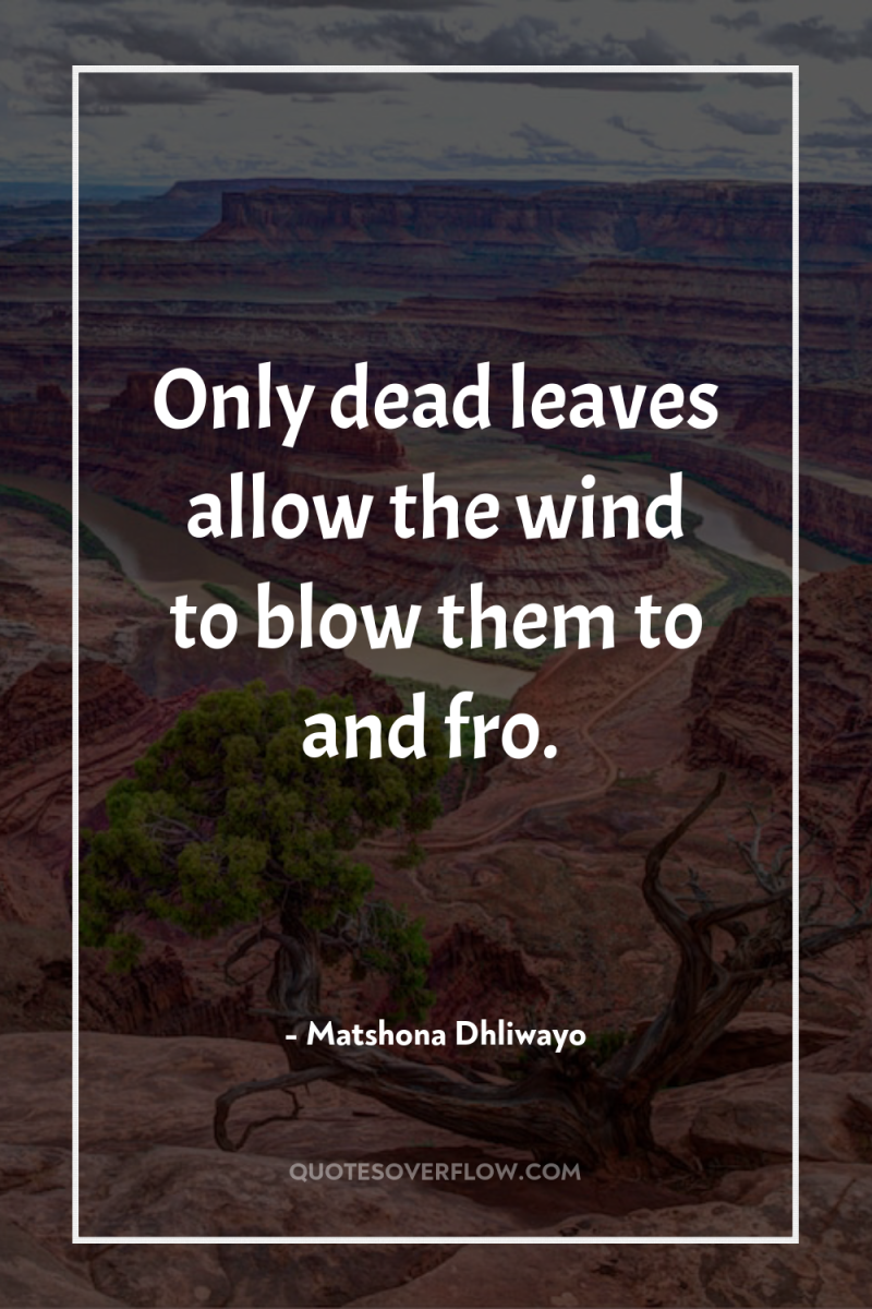 Only dead leaves allow the wind to blow them to...