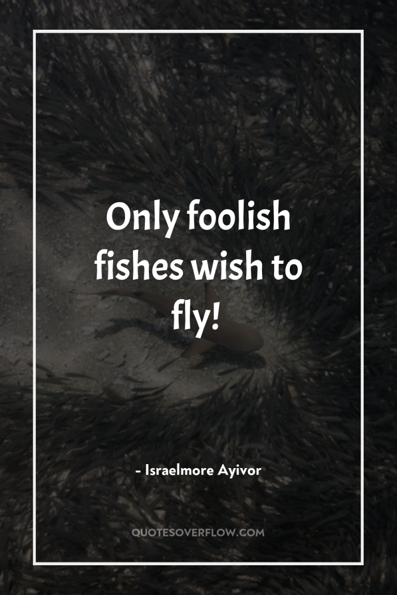 Only foolish fishes wish to fly! 