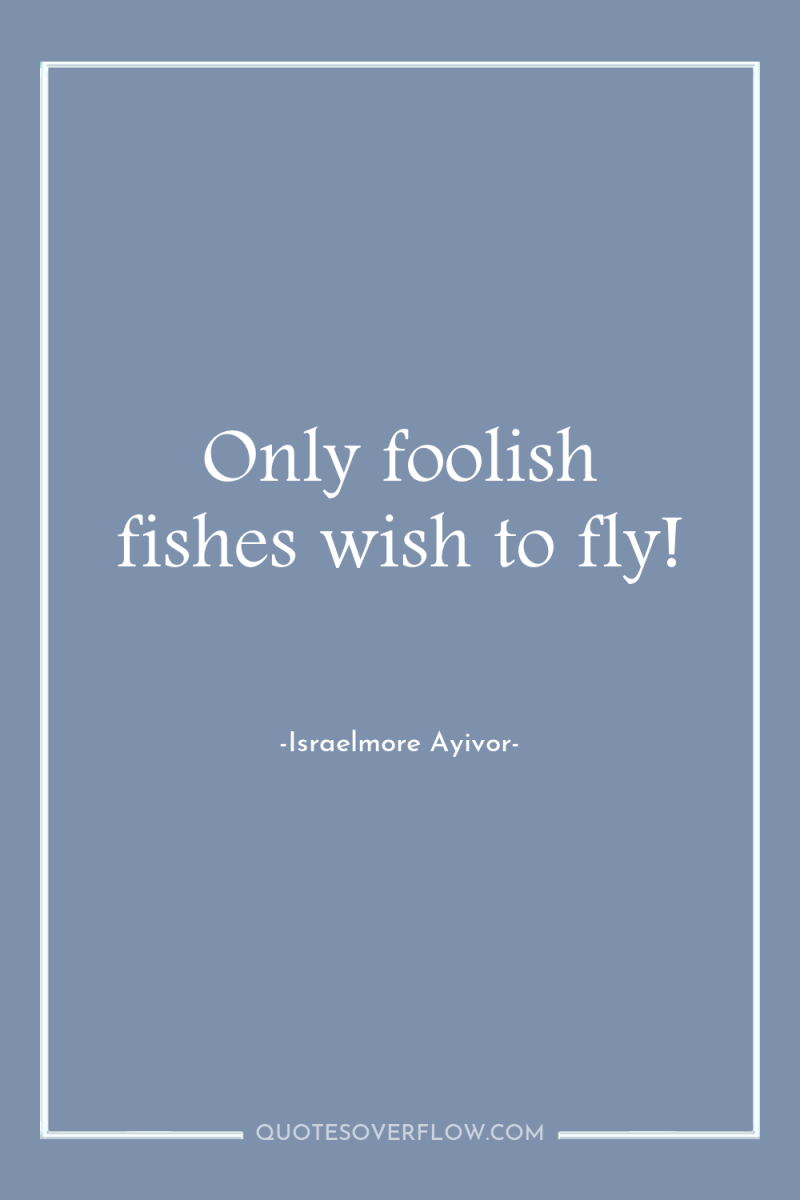 Only foolish fishes wish to fly! 