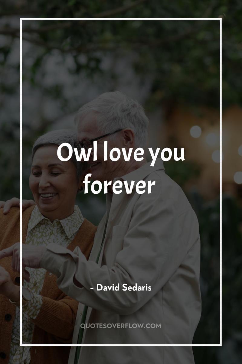 Owl love you forever 