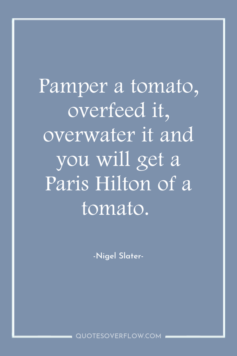 Pamper a tomato, overfeed it, overwater it and you will...