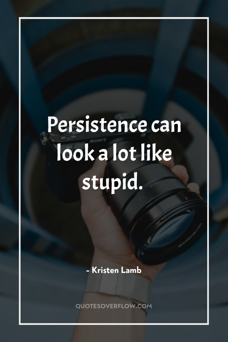 Persistence can look a lot like stupid. 
