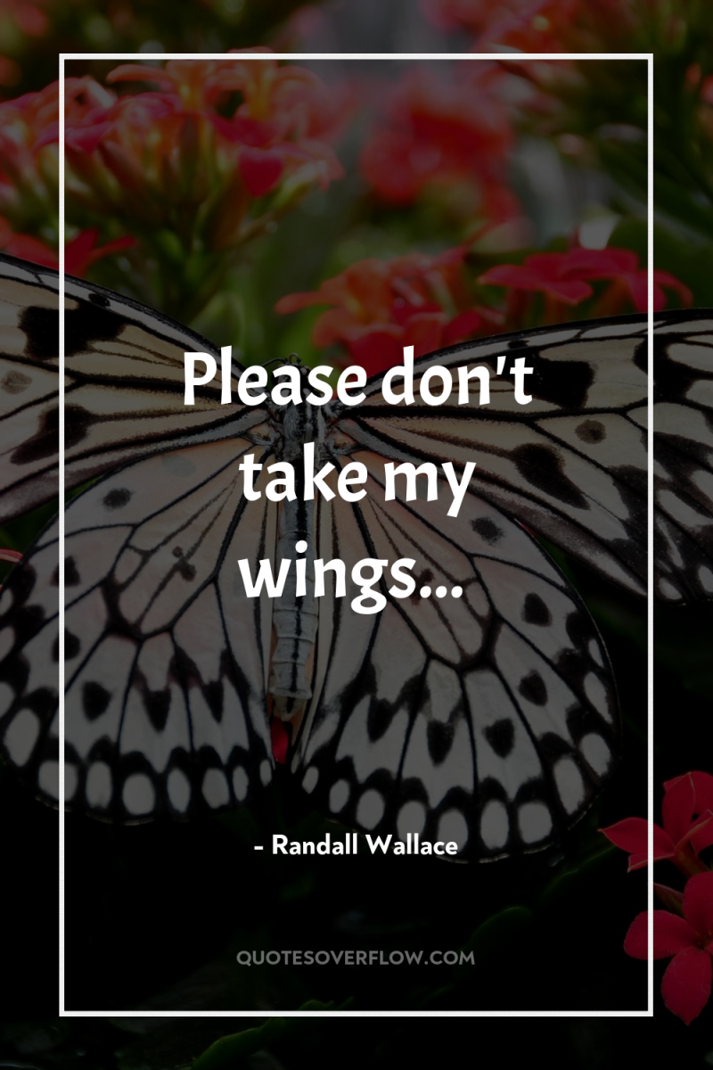 Please don't take my wings... 