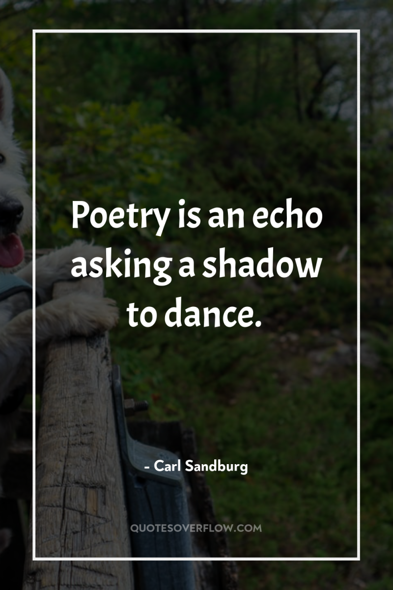 Poetry is an echo asking a shadow to dance. 