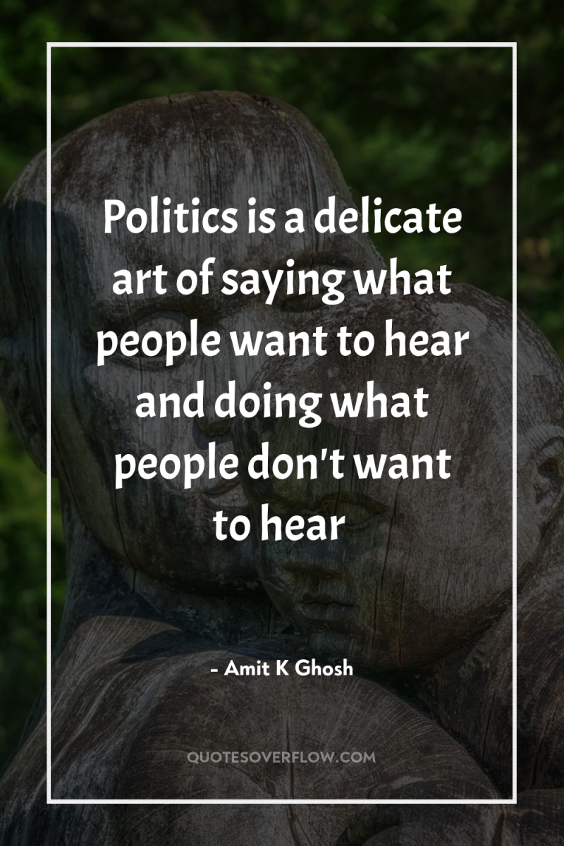 Politics is a delicate art of saying what people want...