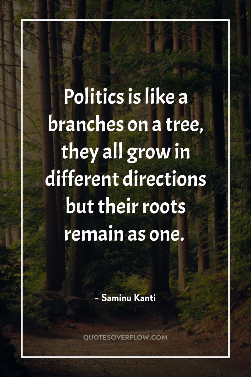 Politics is like a branches on a tree, they all...