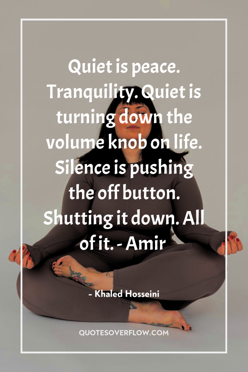 Quiet is peace. Tranquility. Quiet is turning down the volume...