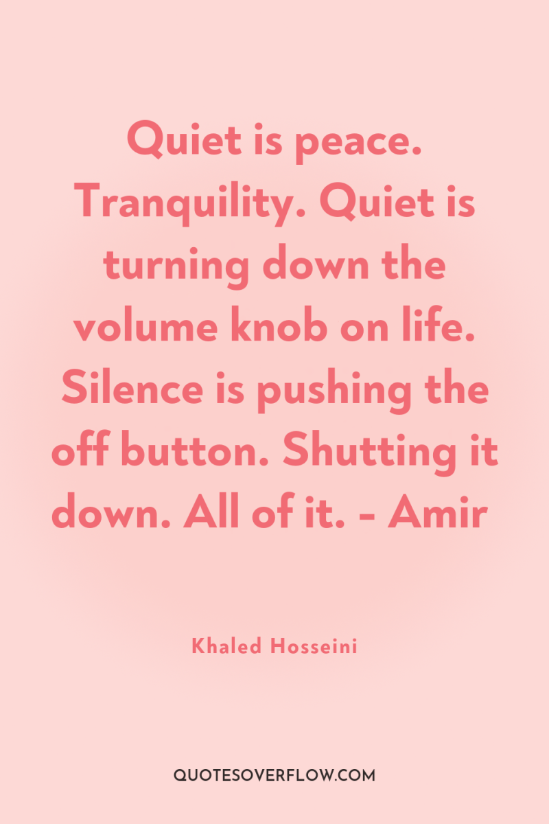 Quiet is peace. Tranquility. Quiet is turning down the volume...
