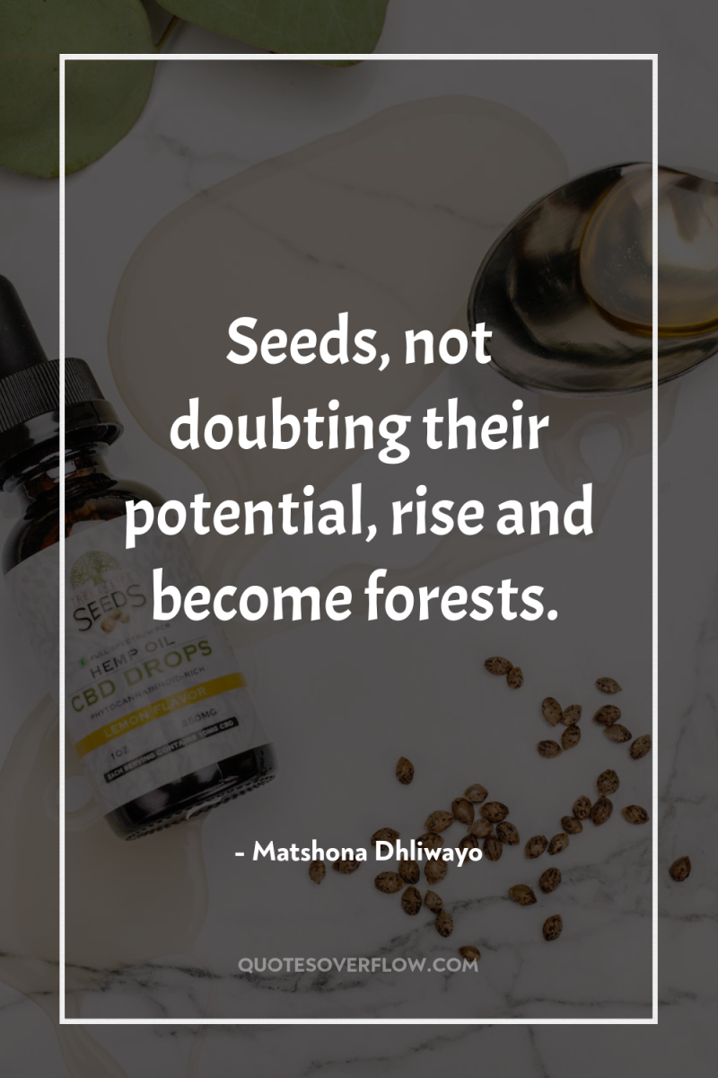 Seeds, not doubting their potential, rise and become forests. 