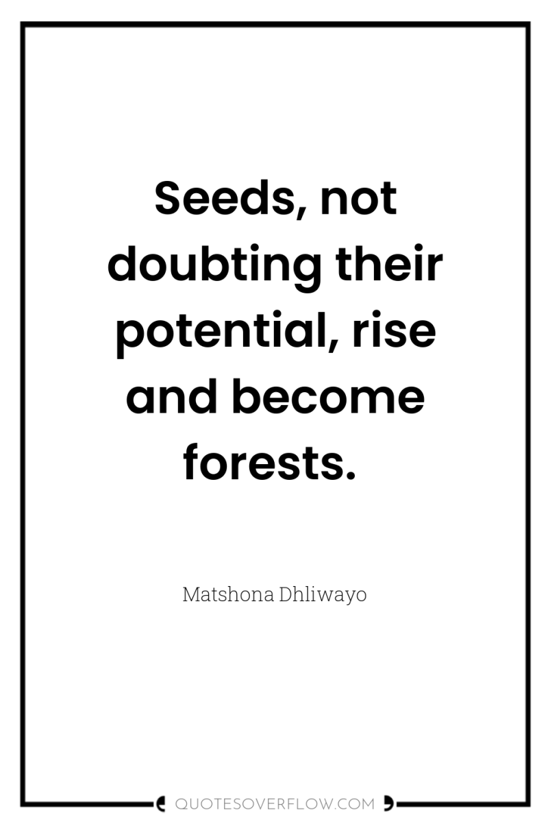 Seeds, not doubting their potential, rise and become forests. 