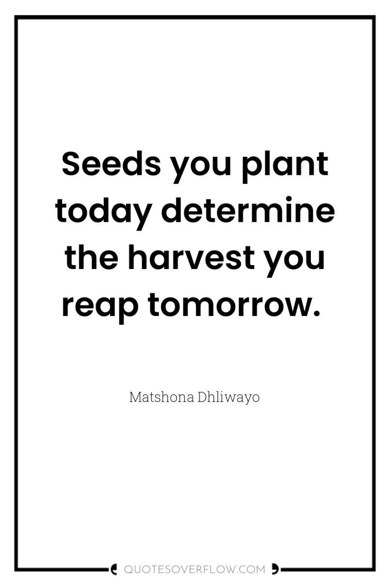 Seeds you plant today determine the harvest you reap tomorrow. 