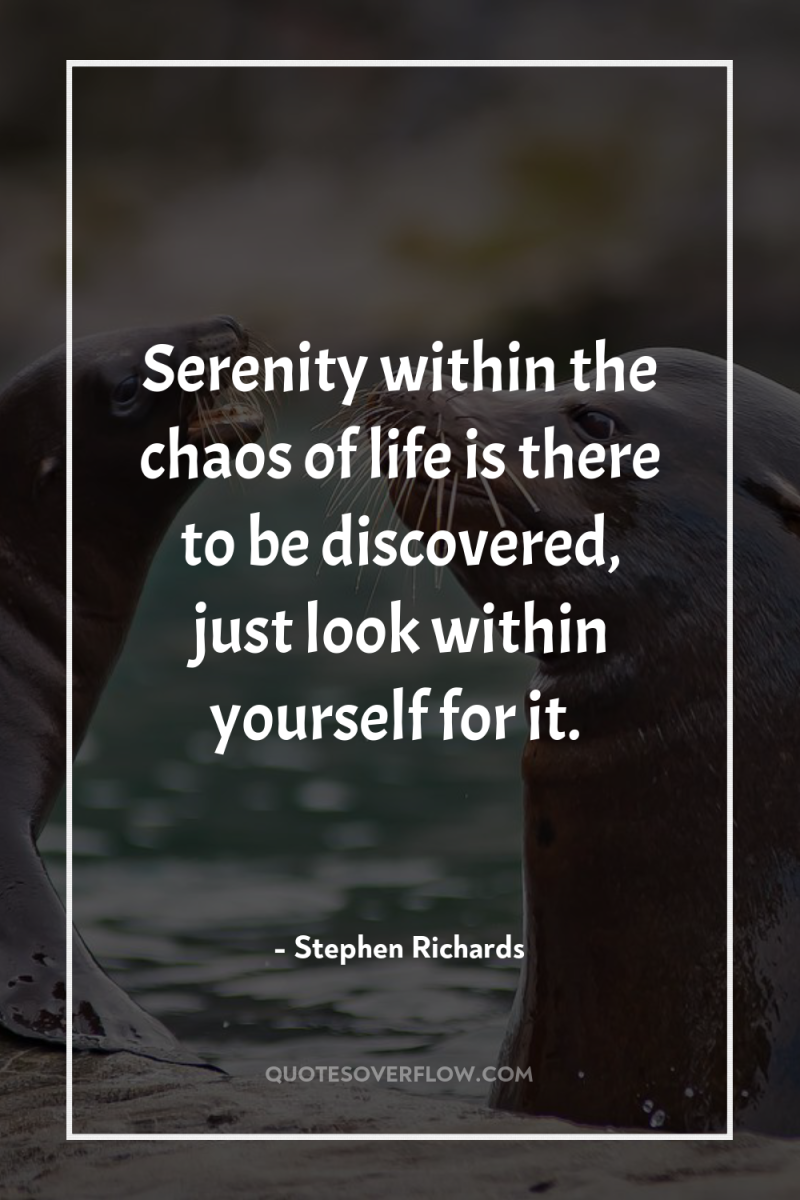 Serenity within the chaos of life is there to be...