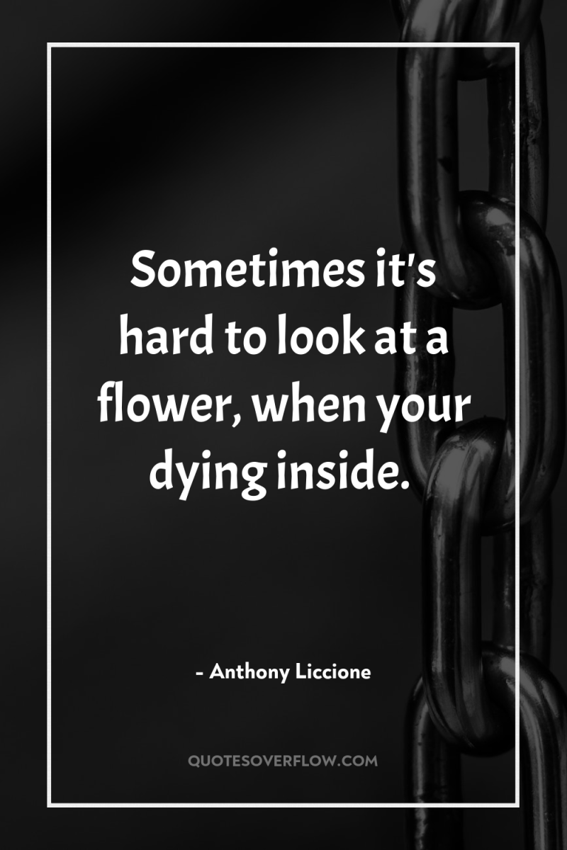 Sometimes it's hard to look at a flower, when your...