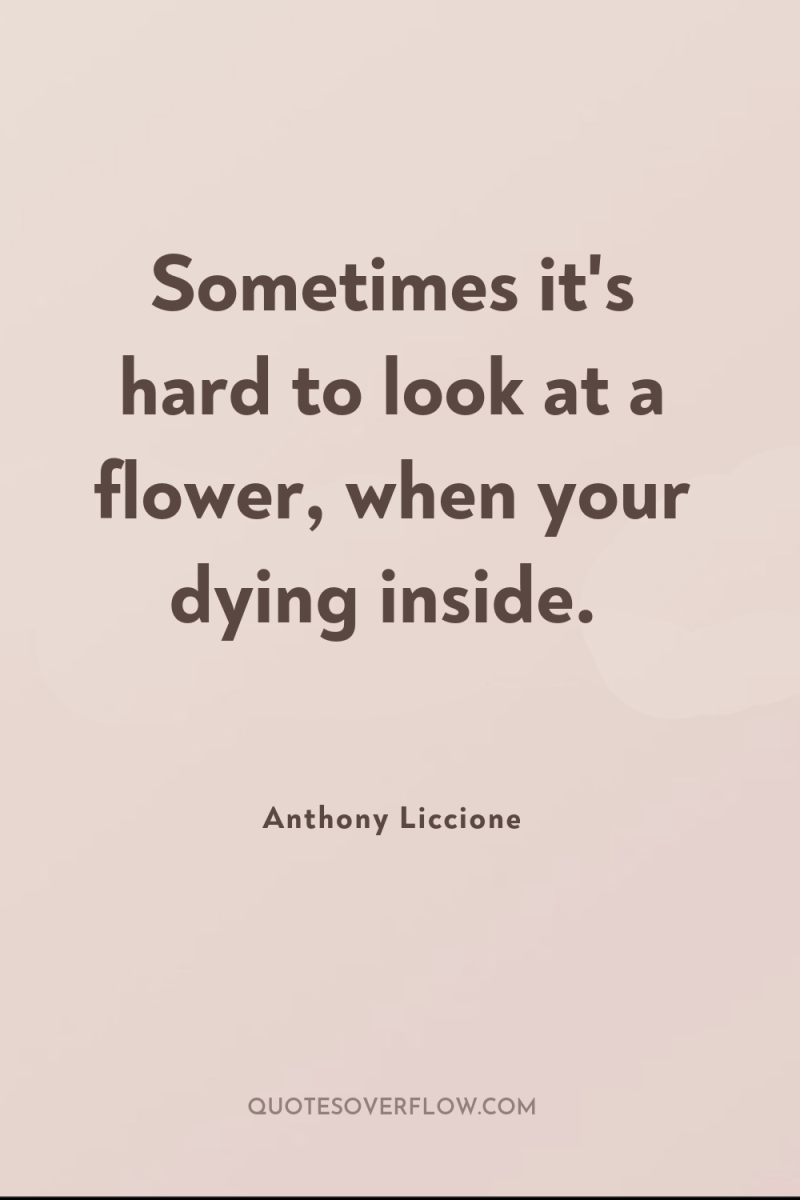 Sometimes it's hard to look at a flower, when your...