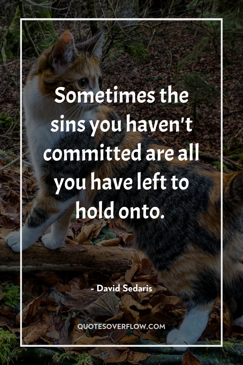 Sometimes the sins you haven't committed are all you have...