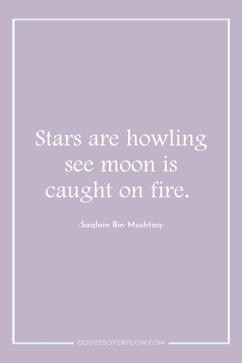Stars are howling see moon is caught on fire. 