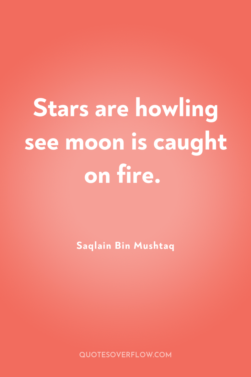 Stars are howling see moon is caught on fire. 