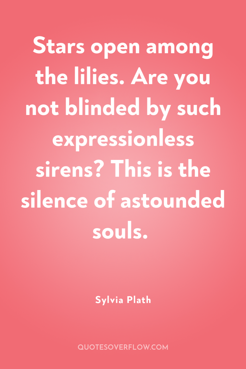 Stars open among the lilies. Are you not blinded by...
