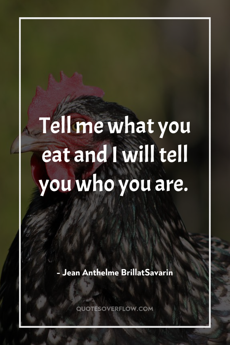 Tell me what you eat and I will tell you...
