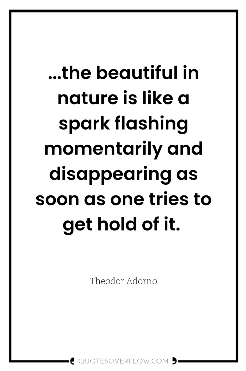 ...the beautiful in nature is like a spark flashing momentarily...